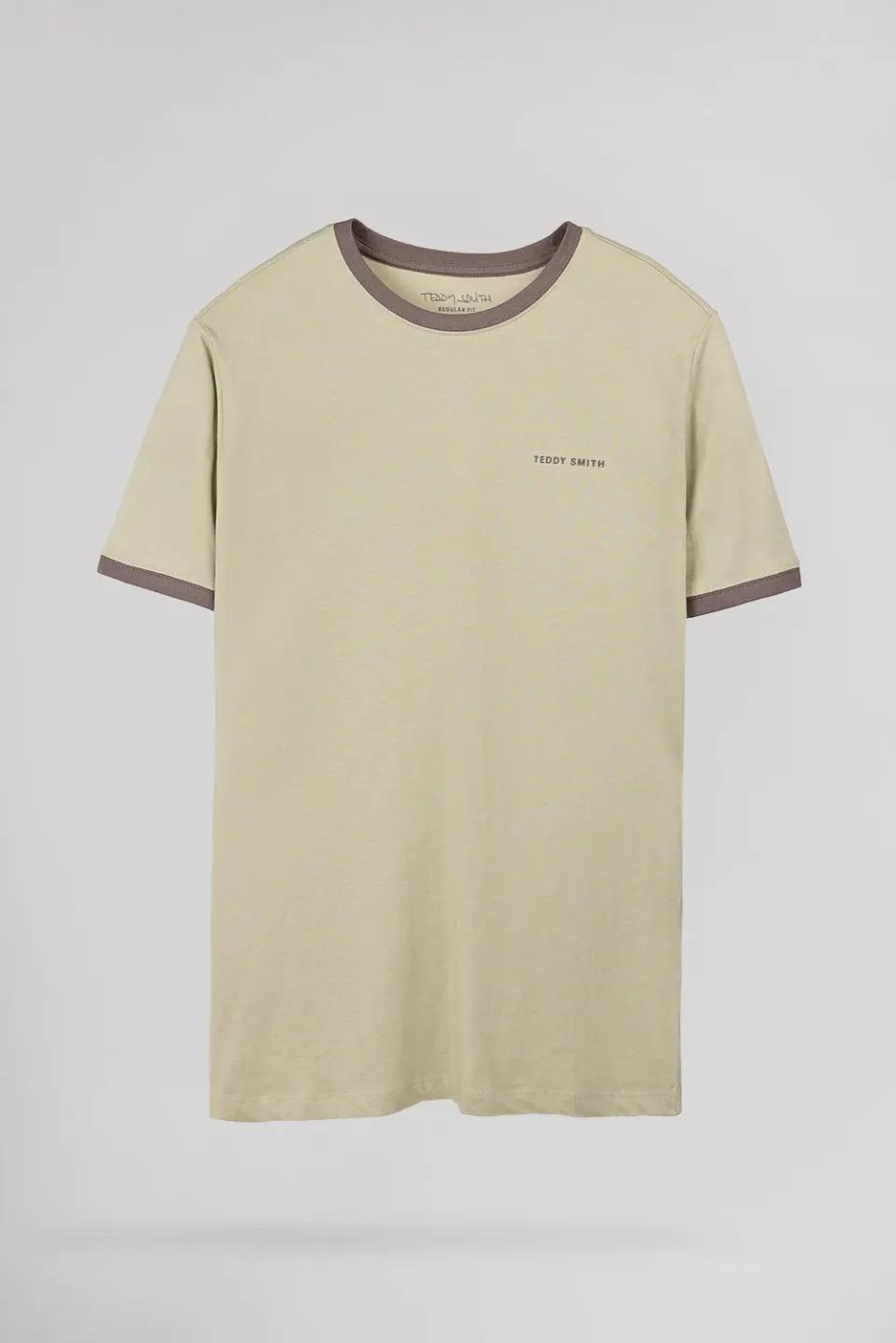 Teddy Smith The-Tee 2 R t-shirt verde salvia uomo