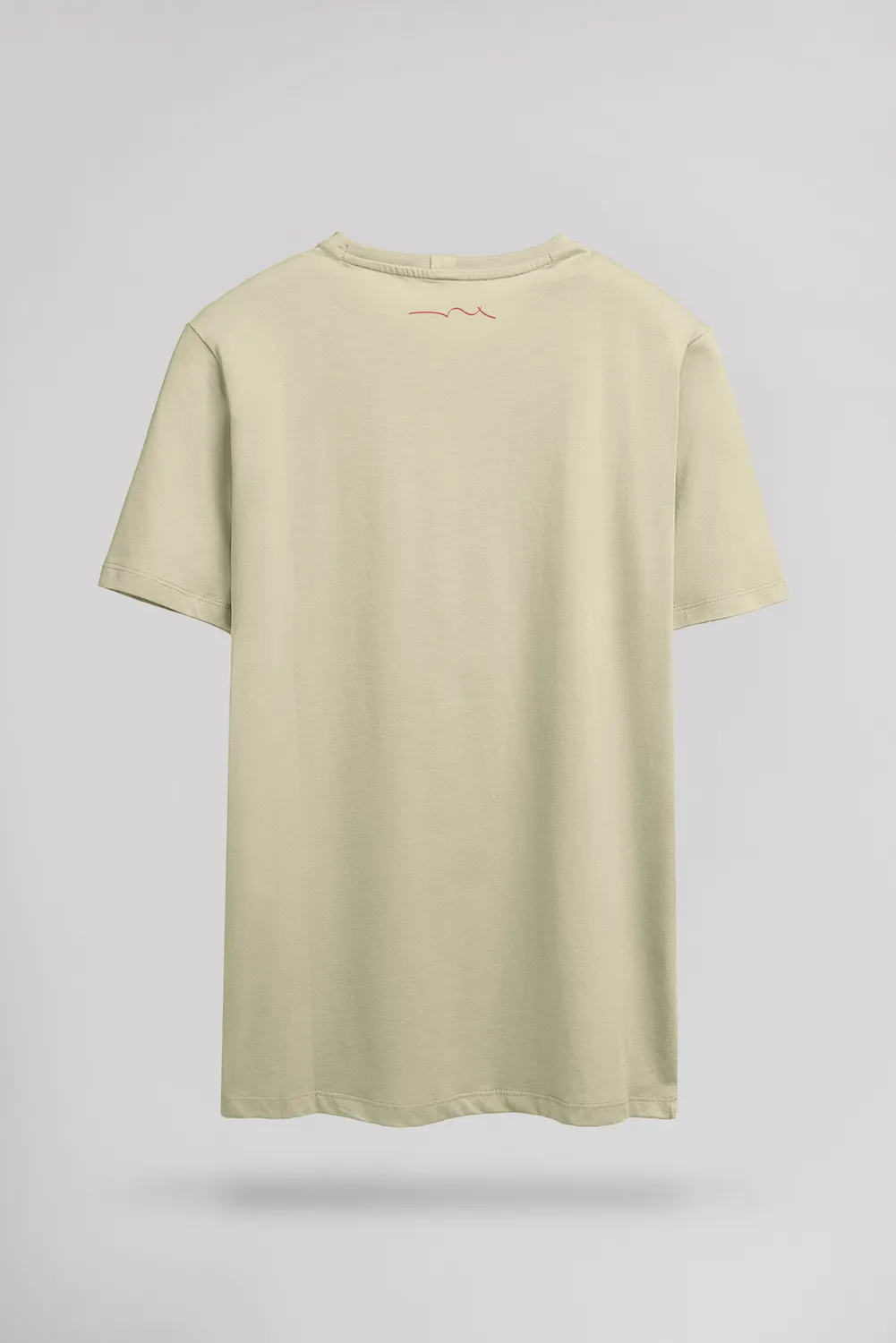 Teddy Smith T-Soy 2 t-shirt verde salvia regular uomo