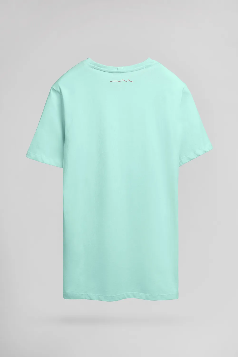 Teddy Smith T-Soy 2 t-shirt uomo verde menta cotone
