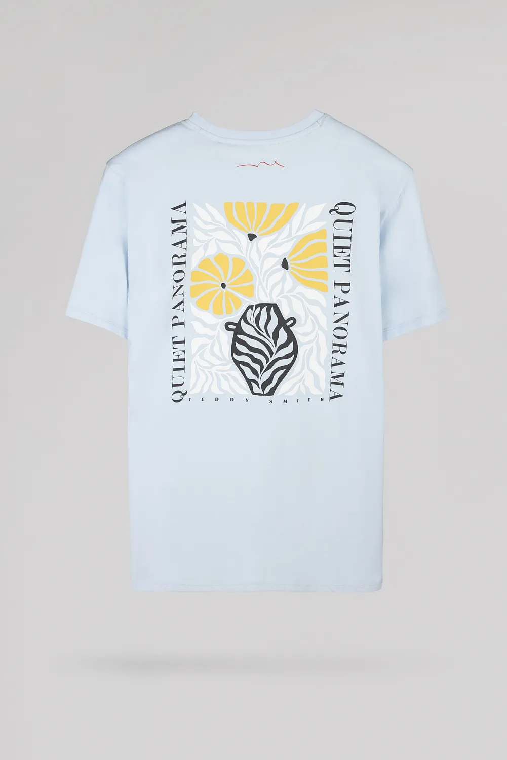 Teddy Smith T-Panorama MC t-shirt uomo azzurra stampa petto