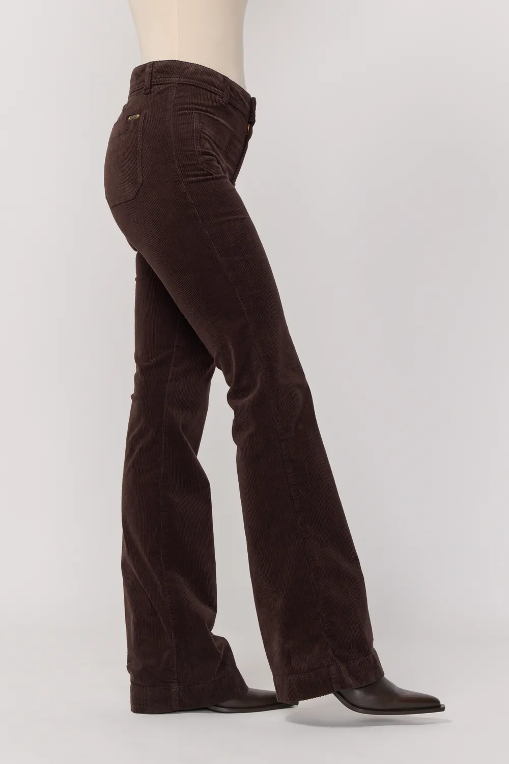 Acquaverde Charlotte pantalone Brown bootcut velluto