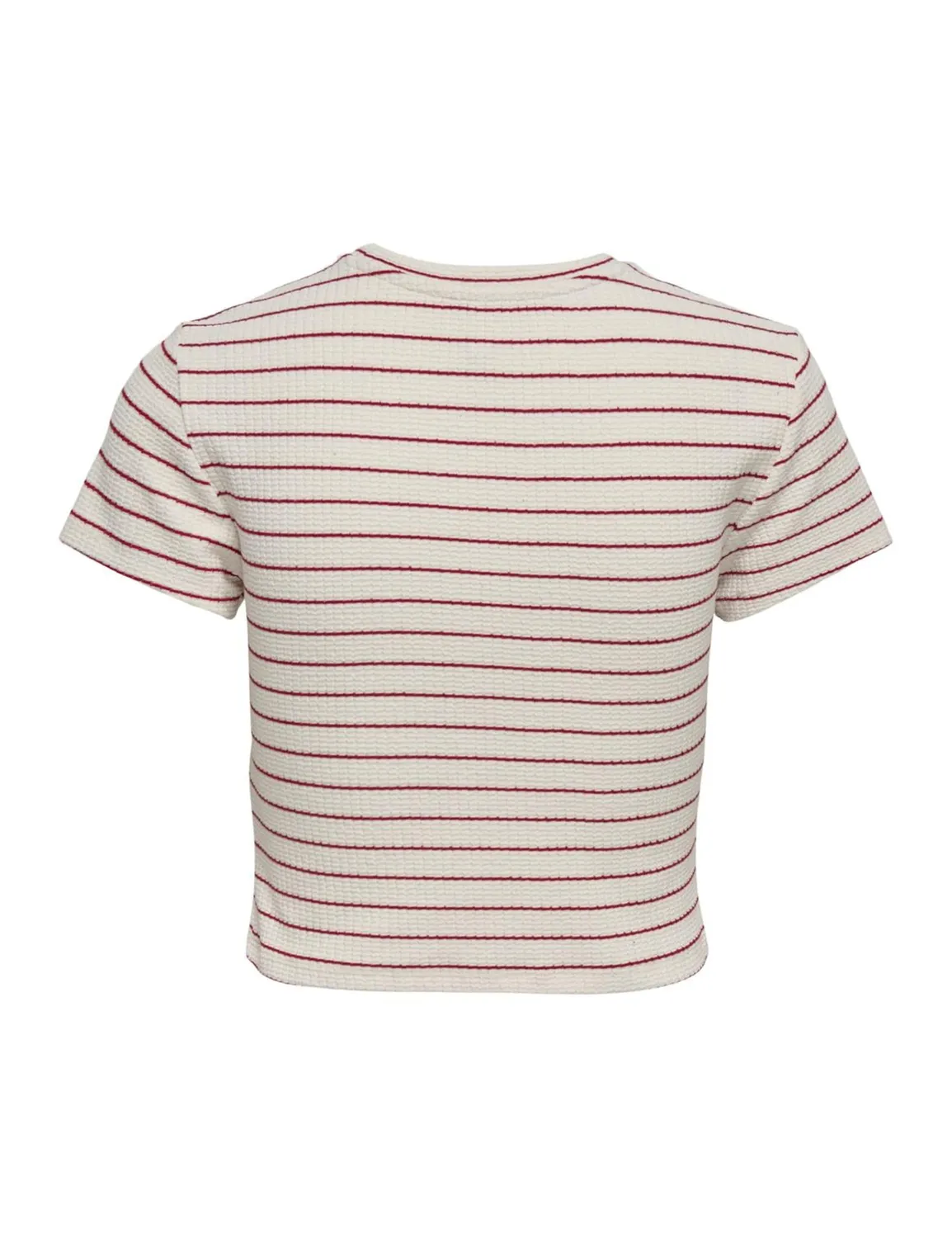 ONLY Onlanits S/S O-Neck Cropped Top maglietta S