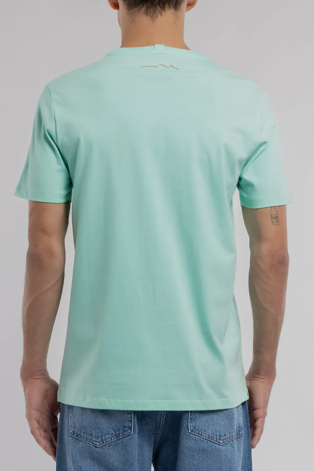 Teddy Smith T-Soy 2 t-shirt uomo verde menta cotone