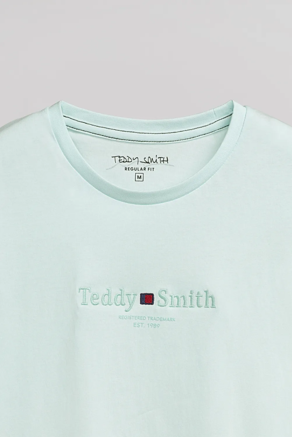 Teddy Smith T-Jim T-Shirt Bleach Menthol Girocollo Uomo