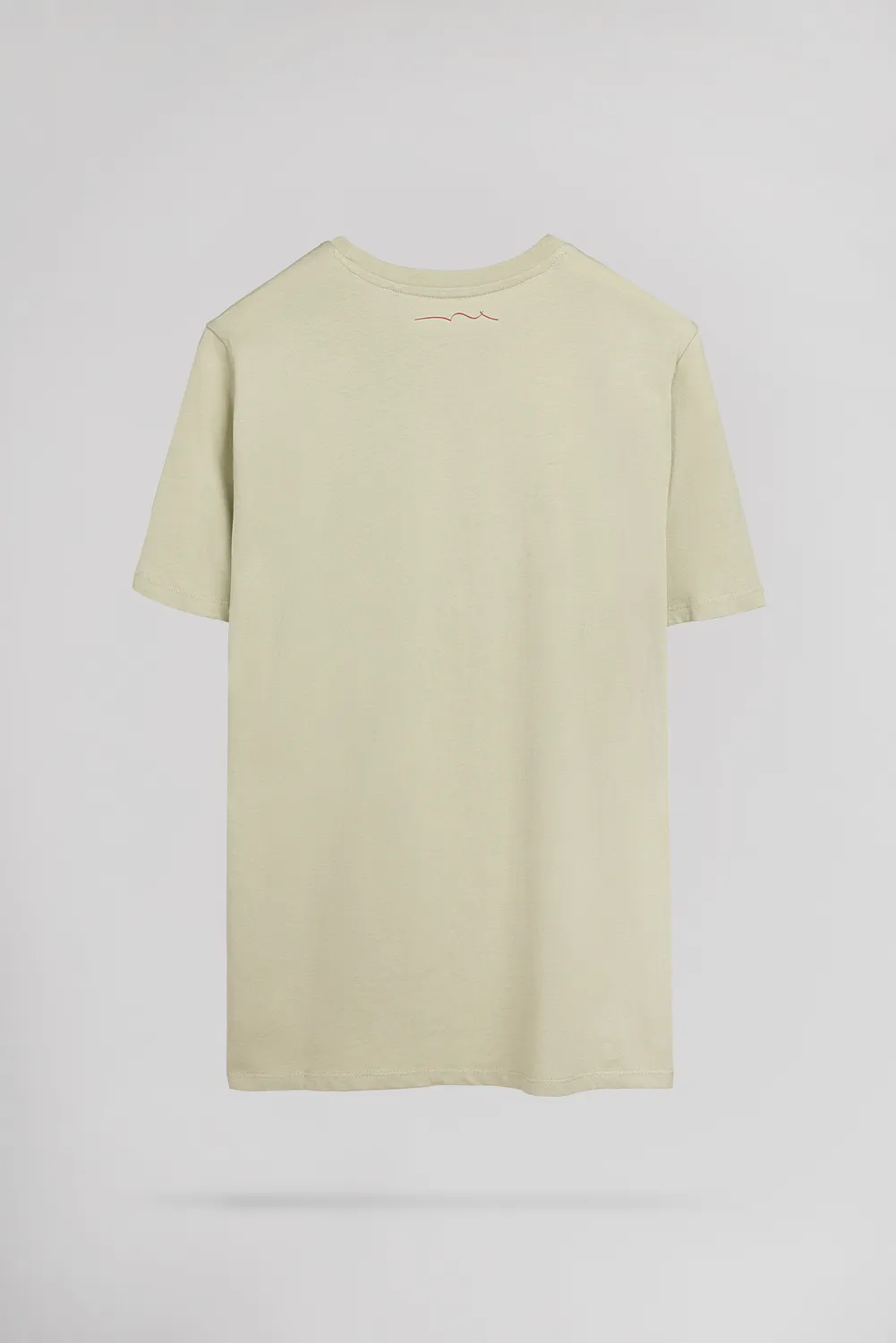 Teddy Smith T-Pany t-shirt uomo verde salvia
