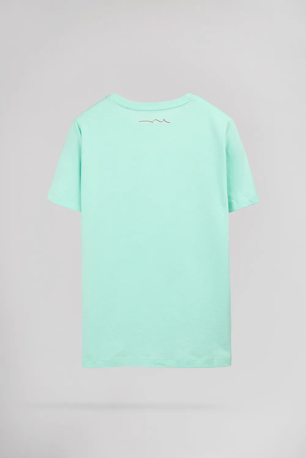 Teddy Smith T-Evan JR T-shirt cotone verde menta