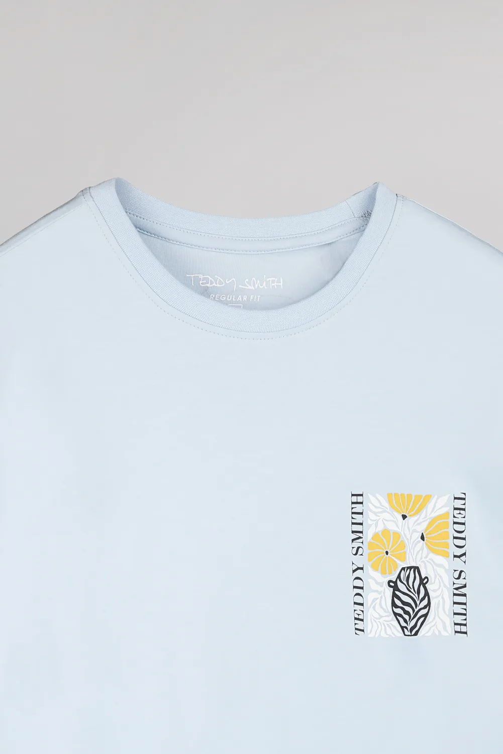 Teddy Smith T-Panorama MC t-shirt uomo azzurra stampa petto