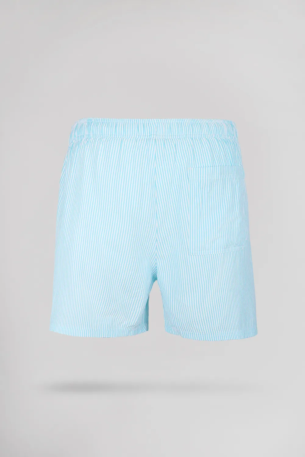 Teddy Smith S-Pablo costume mare blu laguna a righe