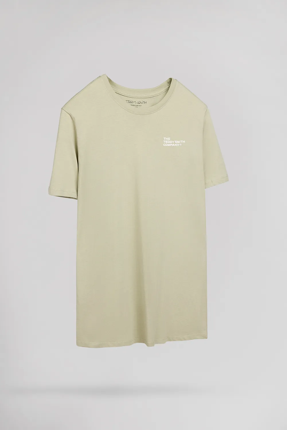 Teddy Smith T-Pany t-shirt uomo verde salvia