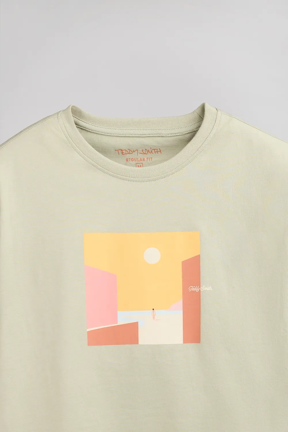 Teddy Smith T-Minimalist t-shirt uomo verde salvia
