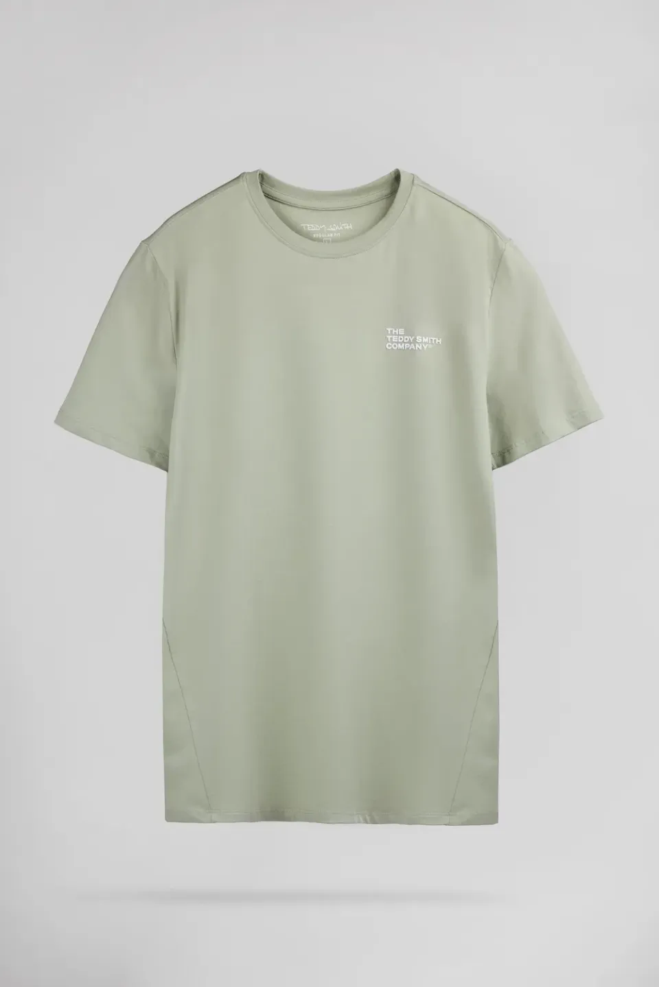 Teddy Smith T-Company t-shirt verde salvia uomo cotone