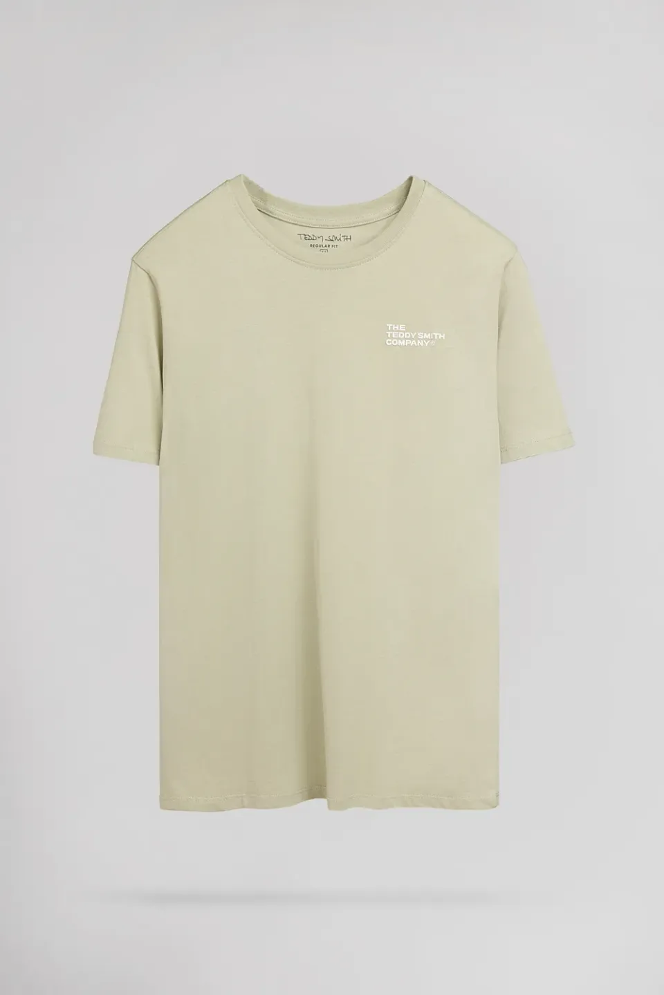 Teddy Smith T-Pany t-shirt uomo verde salvia
