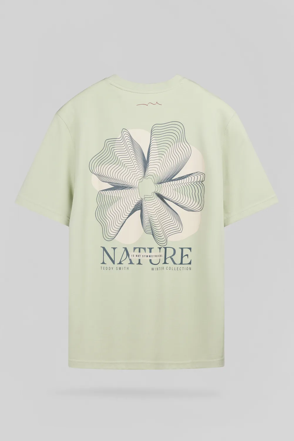 Teddy Smith T-Nature MC t-shirt verde nacre 100% cotone