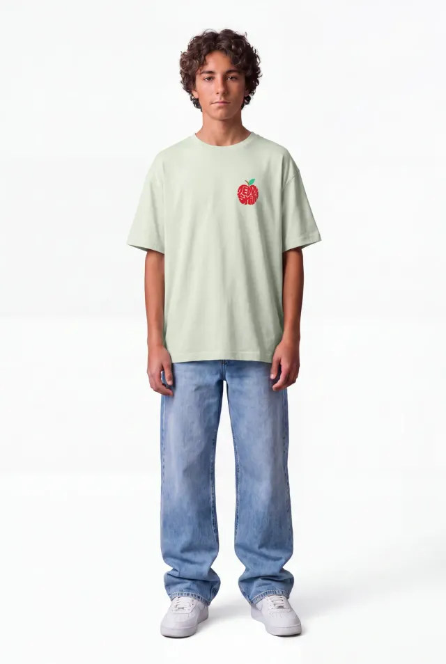 Teddy Smith T-Pom t-shirt ragazzo verde mela cotone