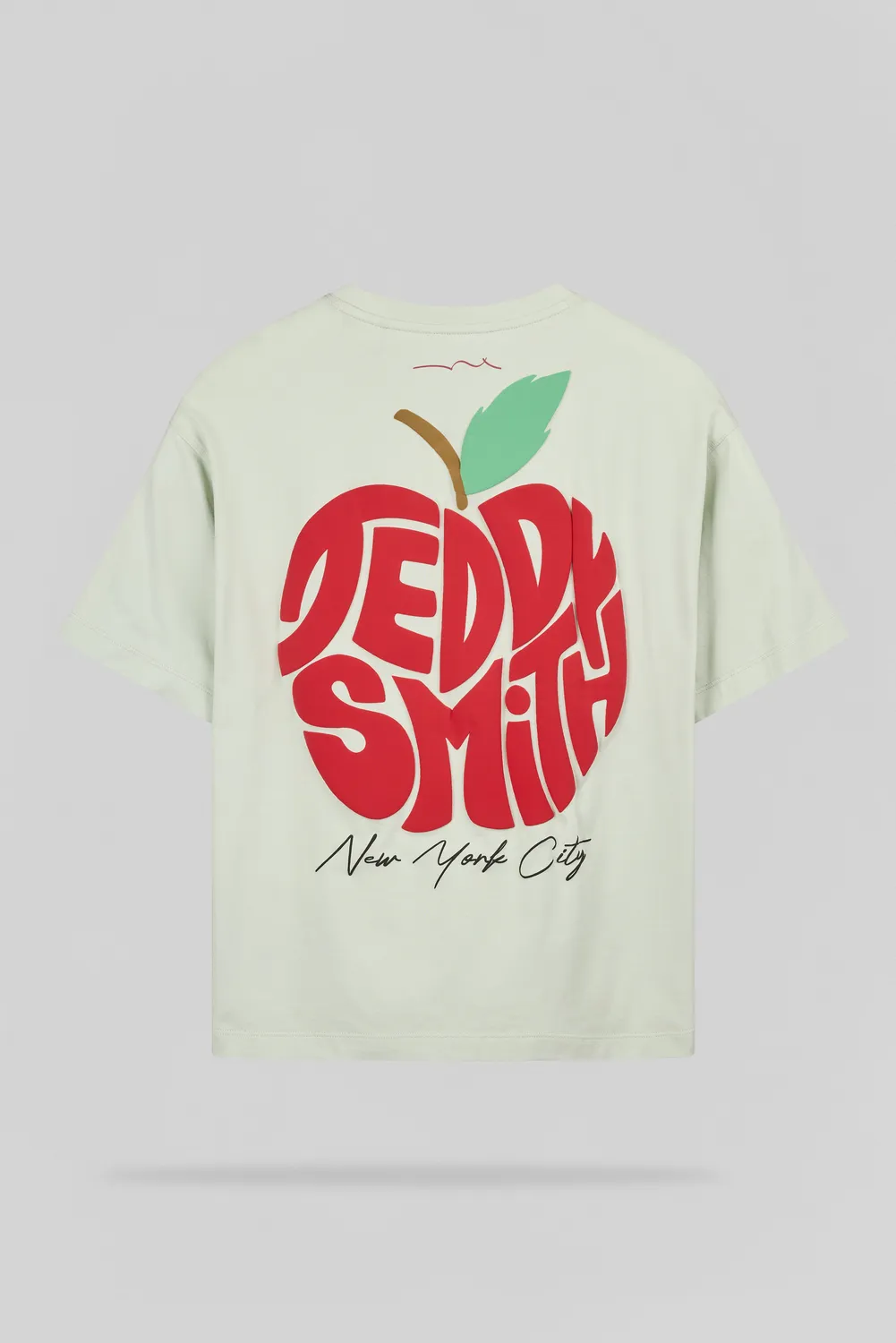 Teddy Smith T-Pom t-shirt ragazzo verde mela cotone