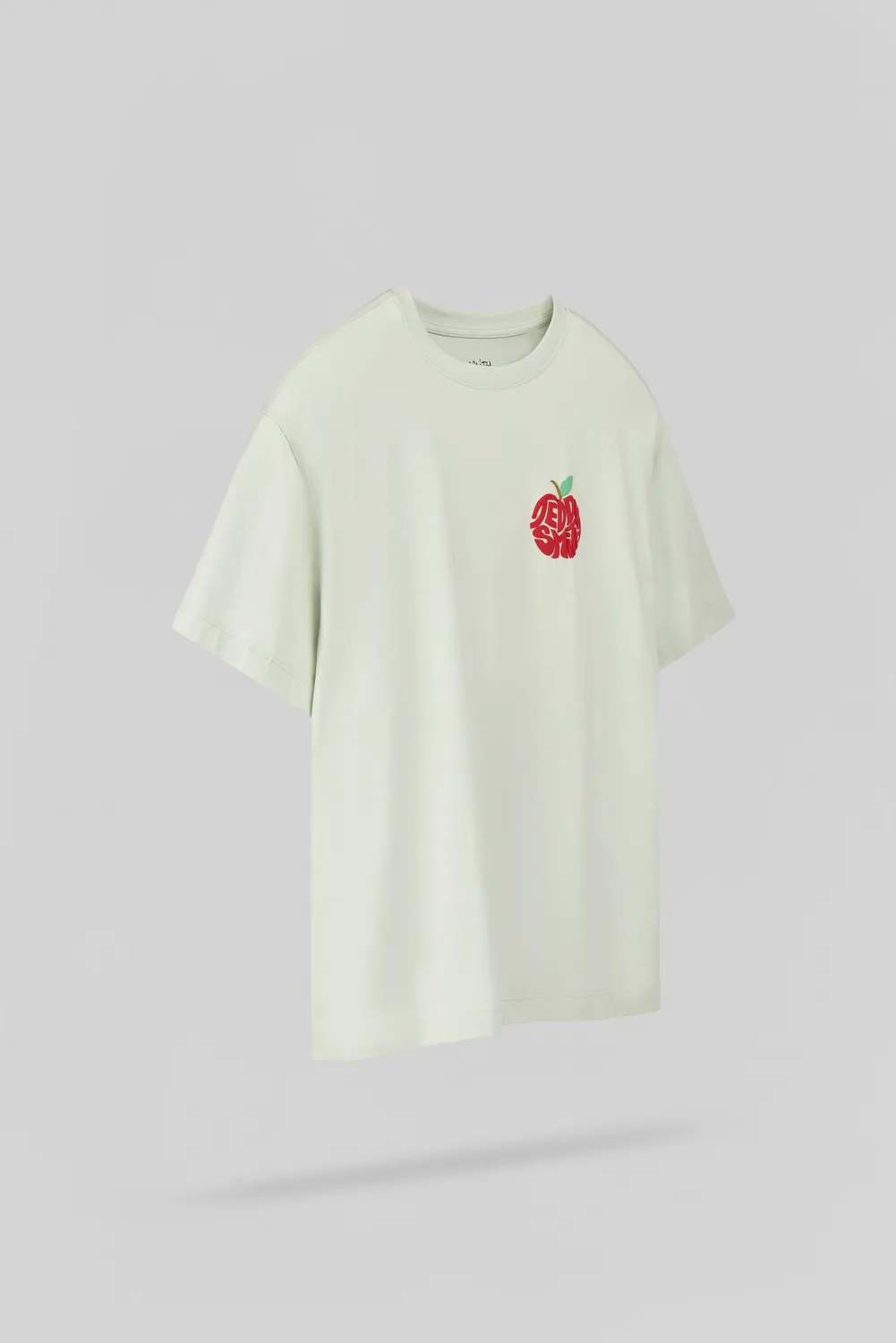 Teddy Smith T-Pom t-shirt ragazzo verde mela cotone
