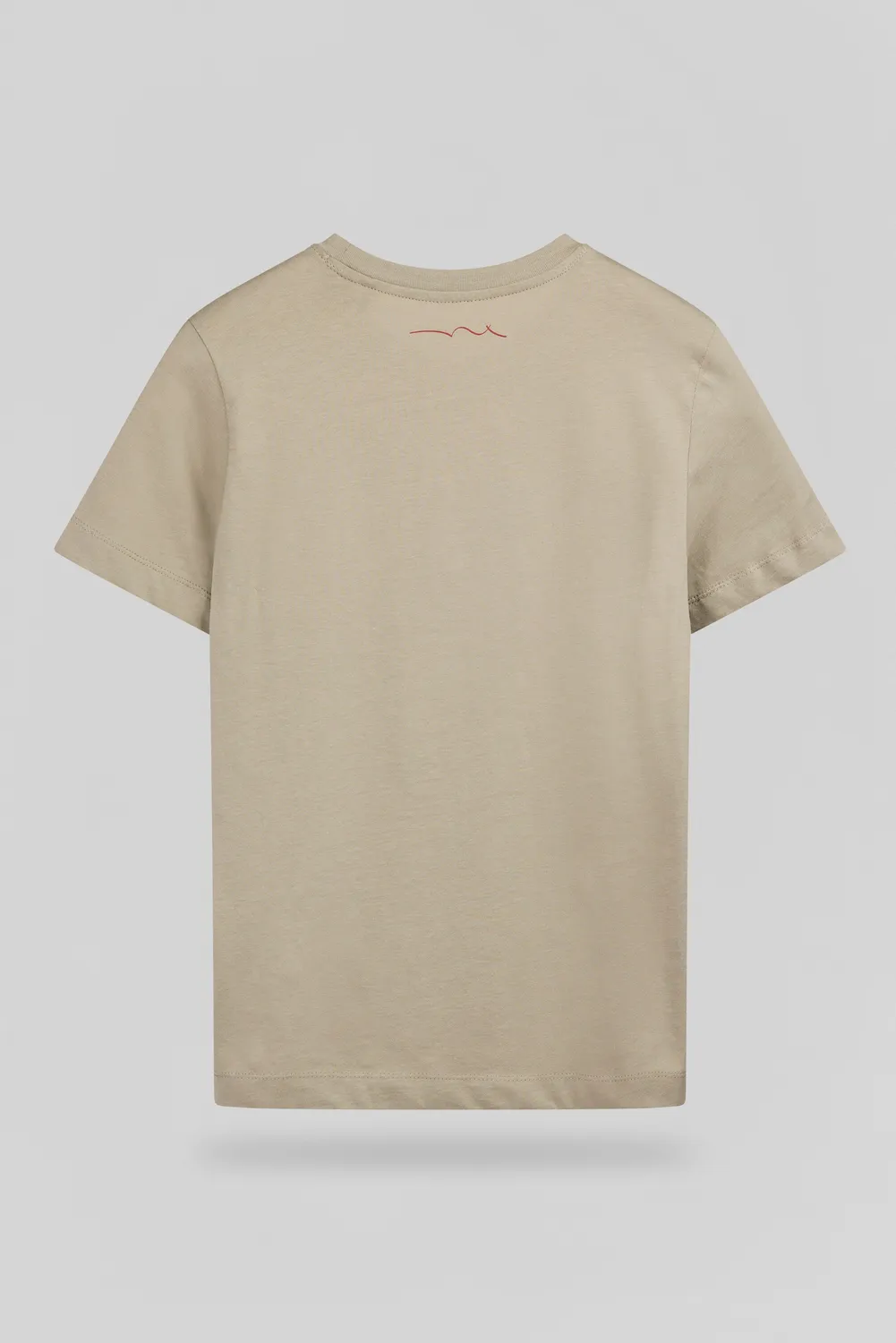 Teddy Smith T-Lionel t-shirt bambino bleach kaki