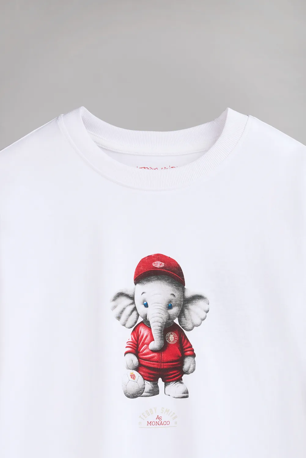 Teddy Smith T-Mascotte t-shirt bianco Monaco uomo